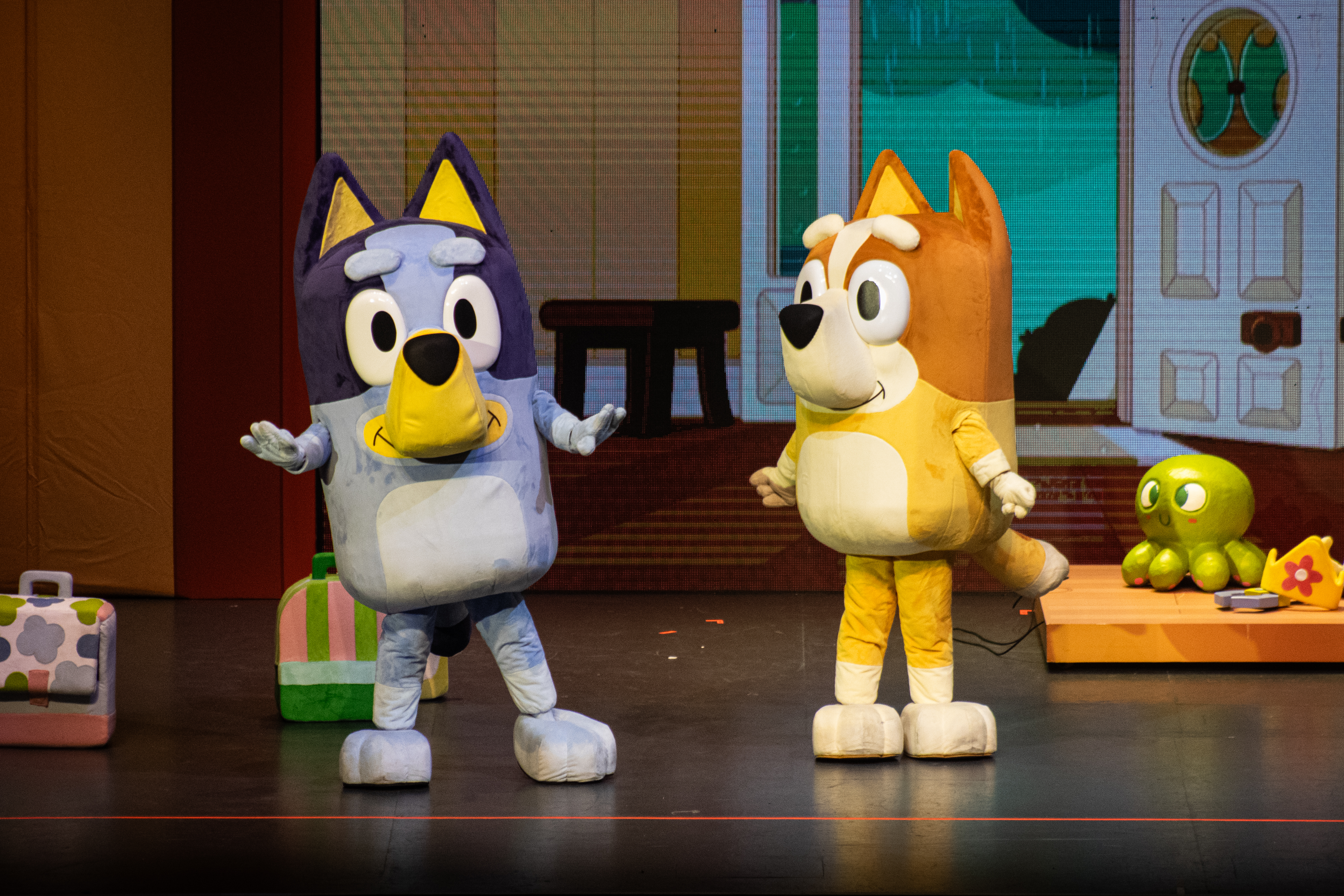 Pasamos una tarde llena de diversión con Bluey En Vivo: Diversión en familia