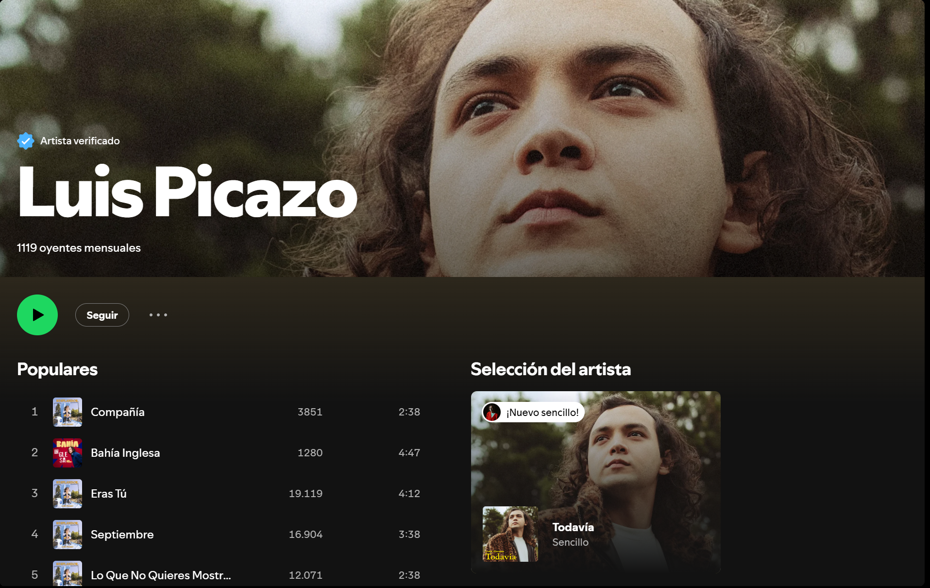 Luis Picazo: La nueva promesa del indie rock y folk en México