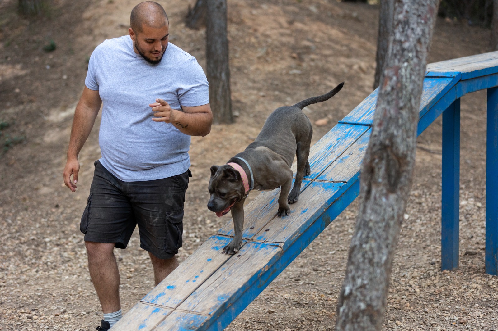 🐾 La obesidad puede reducir hasta un 20% la vida de tu mascota