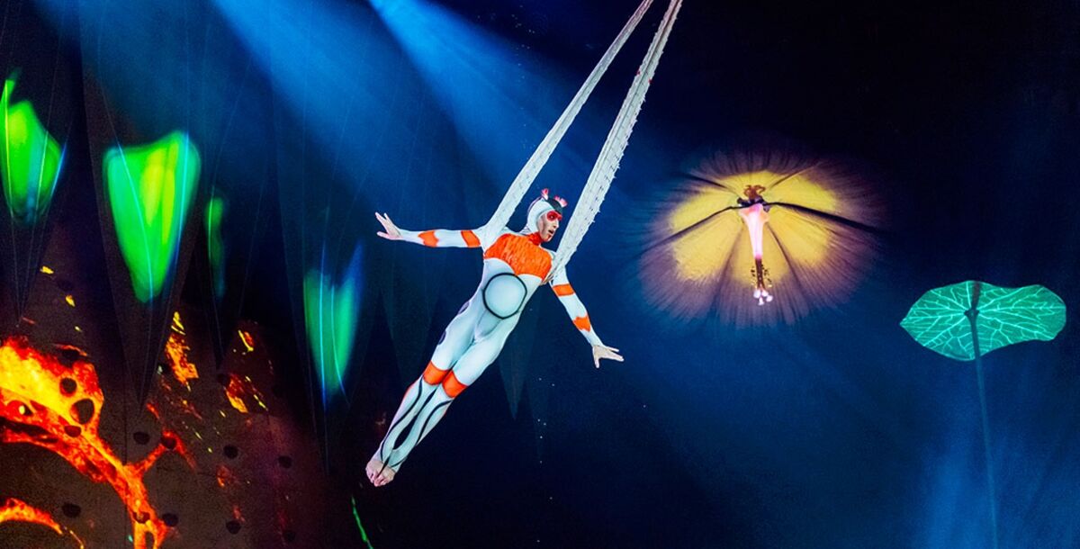 “OVO” del Cirque du Soleil deslumbra en la Arena Monterrey con un universo lleno de color, vida y acrobacias