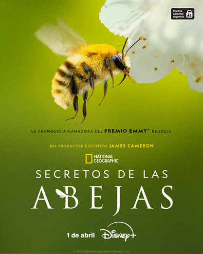 DISNEY+ ESTRENA “SECRETOS DE LAS ABEJAS” 🐝🌍